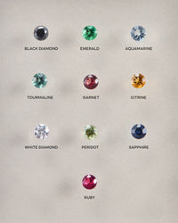 Gem Bend I Earring